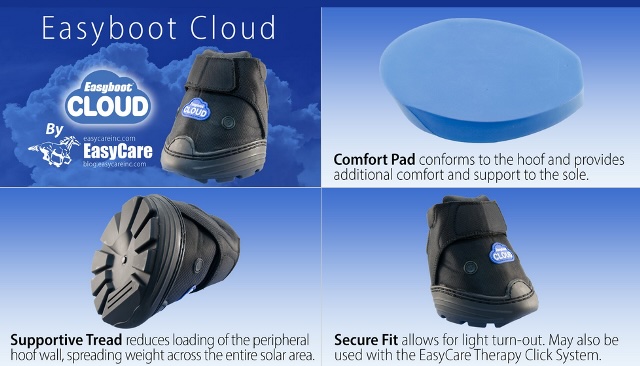 Easyboot Cloud