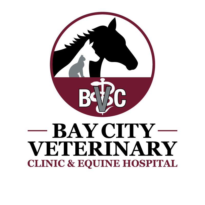 Bay City Veterinary Clinic & Equine Hospital